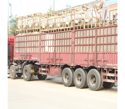 玻璃鋼防爆防雷電動(dòng)球形風(fēng)帽